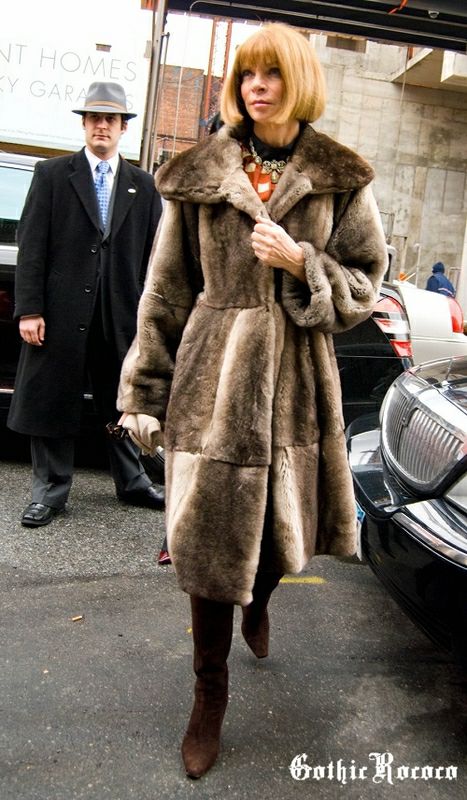2008~srb ģ݋show